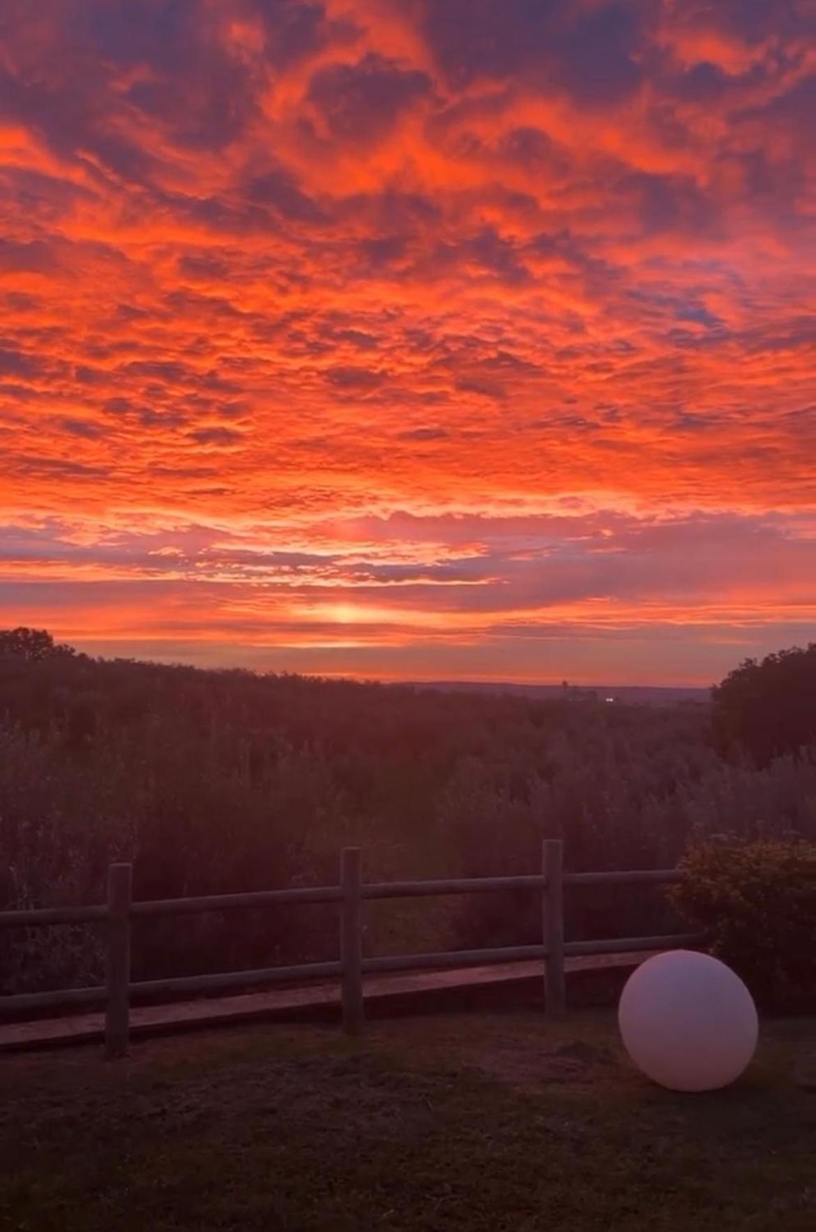 Agriturismo La Lampada Di Atena 베트랄라 외부 사진